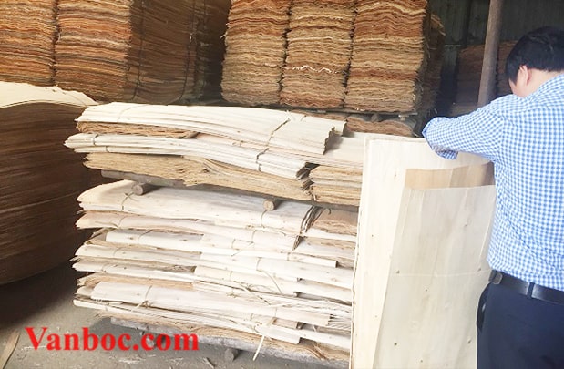 Công ty sản xuất gỗ ván bóc