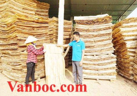 Gỗ ván bóc ván lạng xuất khẩu gỗ keo gỗ mỡ