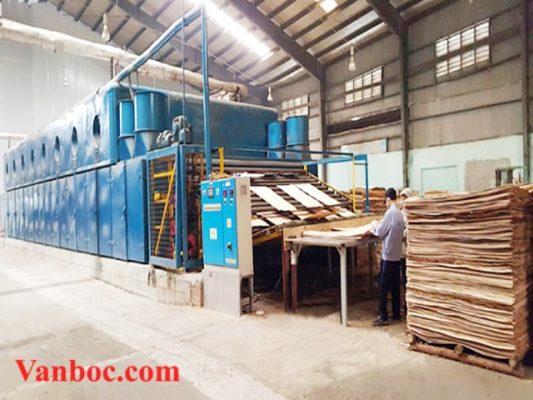 Quy trình sản xuất gỗ ván bóc