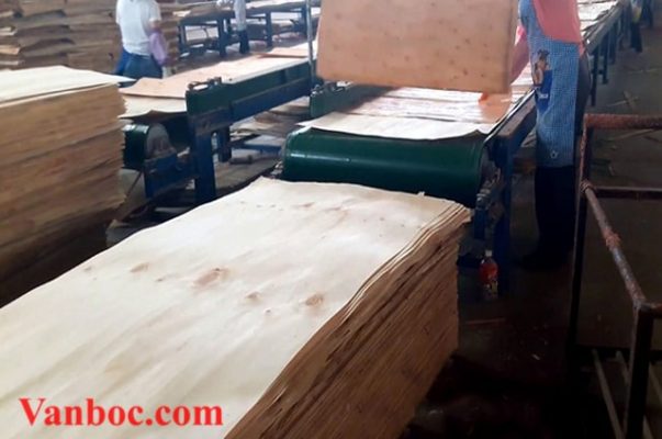 Tách gỗ thành ván chất lượng cao