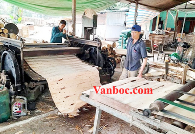 Xưởng ván bóc ván lạng gỗ keo gỗ mỡ giá rẻ