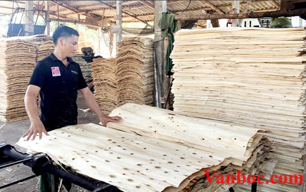 sản xuất gỗ ván bóc
