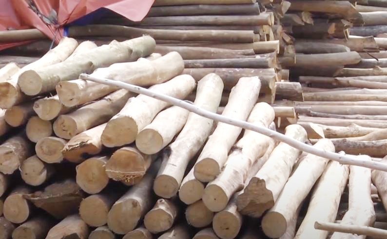 Xưởng sản xuất gỗ ván bóc giá rẻ